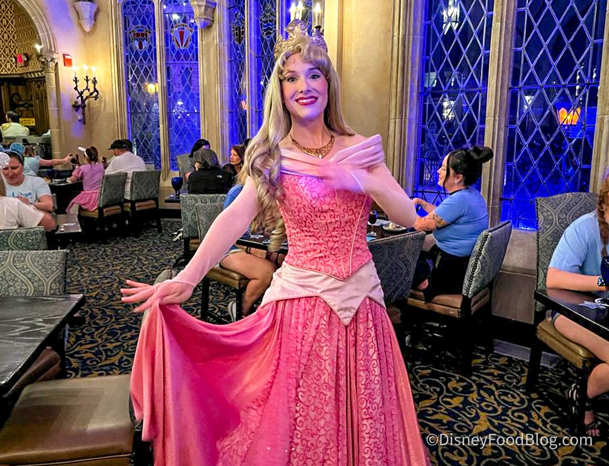 Magic Kingdom Character Dining Reviews Reveal the Best Spots